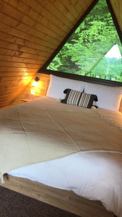 Casutele De Sub Padure Hotel Avrig Ngoại thất bức ảnh